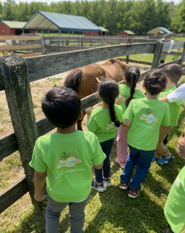 Farm Field Trip